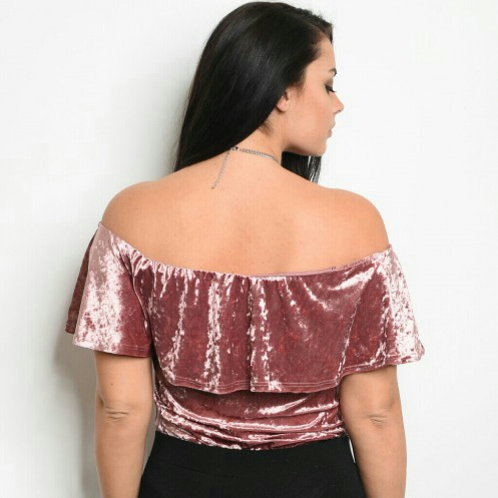 Mauve Velvet Plus Size Bodysuit - Picture 3 of 3